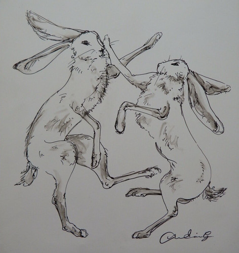 Ink drawing boxing hares - , &
