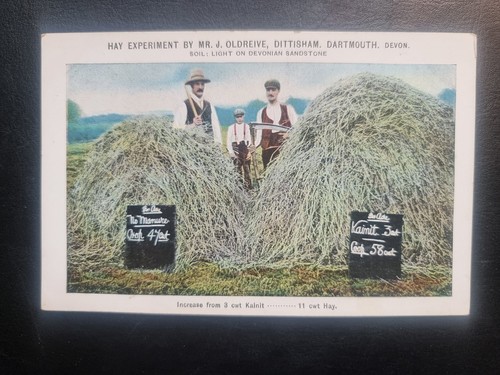 Dittisham dartmouth postcard - dartmouth,
