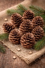 Large Natural Pine Cones