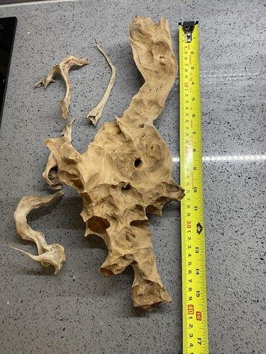 Aquarium exotic bogwood for