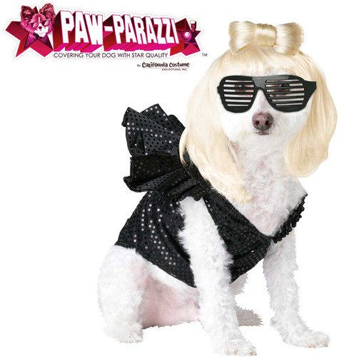 Paw parazzi lady - lady, gaga
