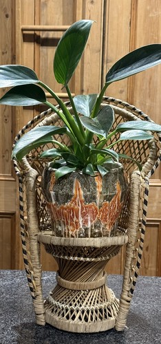 Vintage sylvac fat lava - vintage,