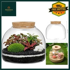 Elegant LED Glass Terrarium
