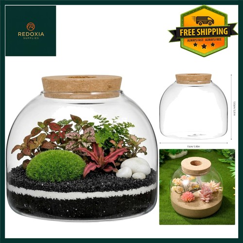 Elegant led glass terrarium - elegant,