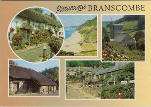 Devon postcard views - -,