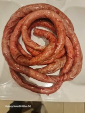 Intestin Colon  props