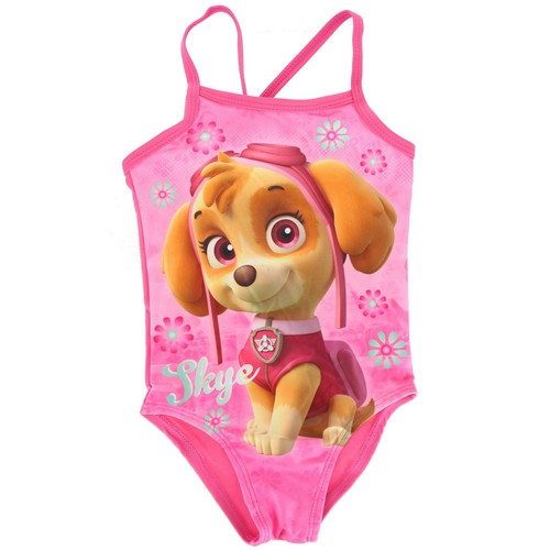 Paw patrol skye character - paw,