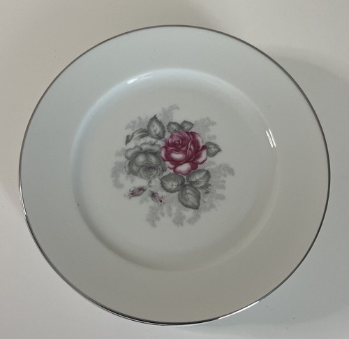 Rosenthal continental china - continental,