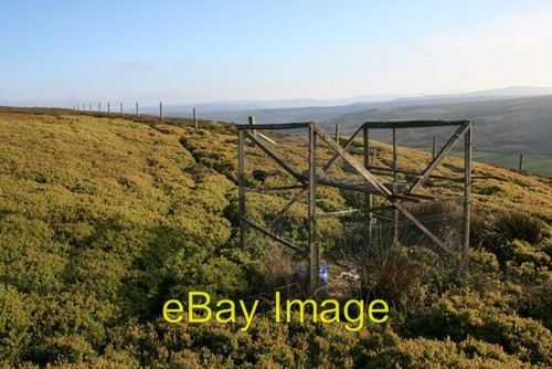 Photo 6x4 larsen trap - larsen,