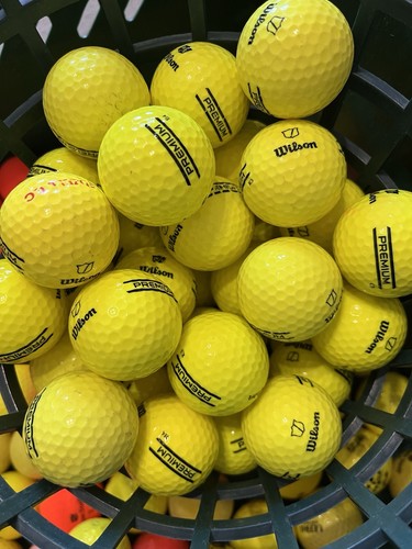 Yellow wilson staff - 40,