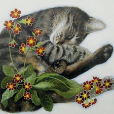 Sleeping Amongst Polyanthus