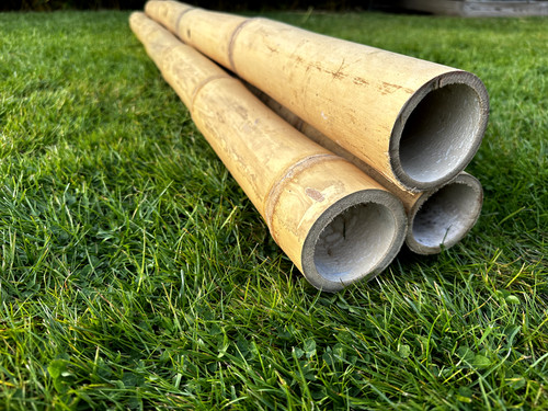Long lengths natural apus - long,