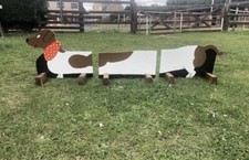 Show jump Fillers. Brown and White Sausage Dog