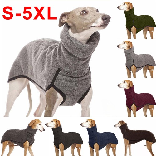 Pet dog winter - high, neck