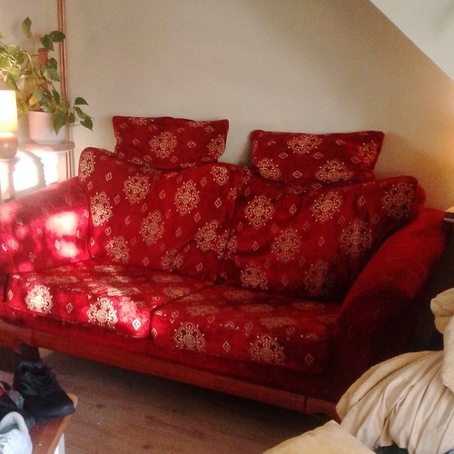 Red floral velvet - floral,