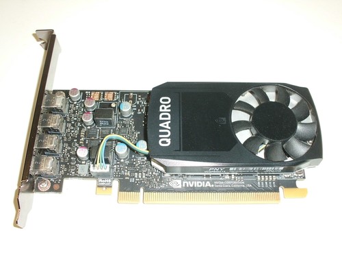 Nvidia pny quadro p600 2gb - nvidia,