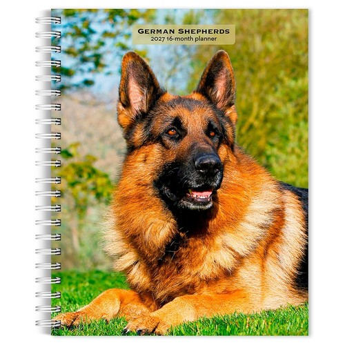 German shepherd engagement - shepherd,