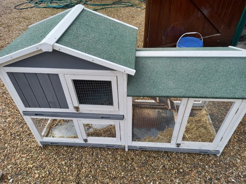 Rabbit hutch - rabbit,