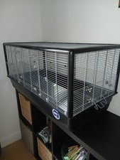 Savic Plaza 100 Modified. Higher Welfare. Perspex Bar Guards. Hamster Syrian 