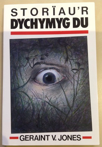 Storiau dychymyg jones - dychymyg, du-jones