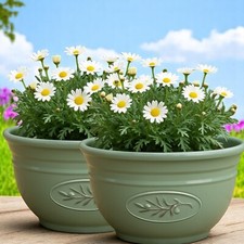 30cm Olive Green Plant Pot