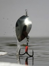 Spinning Spinner Sea Trout