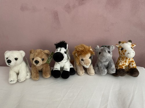 Animal plush teddies yorkshire - plush,