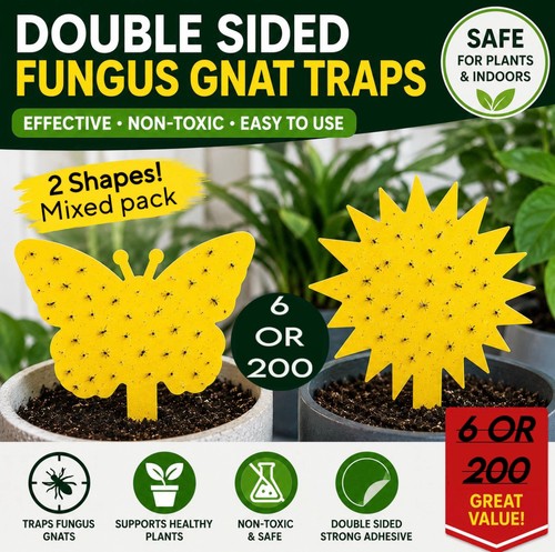 Fungus gnat traps - mixed, pack