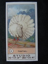 No.8 FANTAIL Fowls Pigeons & Dogs REPRO of F. & J. Smith 1908