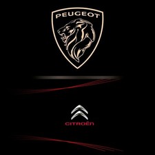 Peugeot Citroen Sat Nav Update