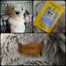 Rare Grey Squirrel Long