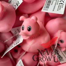[NGU🪶] PINK PIG DUCK DUCKS