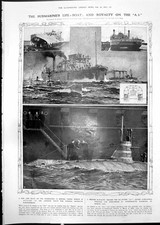 Old Lifeboat Submarine A3 Queen Alexandra Orphaned Chicks Egret 1912
