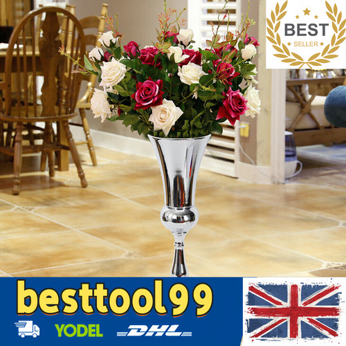 60cm large stunning silver - large,