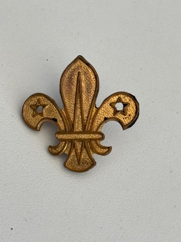 Vintage boy scouts fleur - vintage,