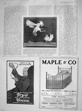 Original Old Antique Print