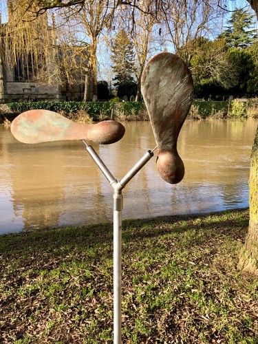 Sycamore seed kinetic garden - seed,