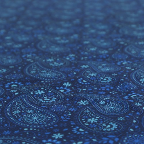 Blue paisley upholstery - blue,
