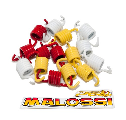Clutch spring set malossi - spring,