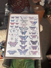 vintage framed artwork poster