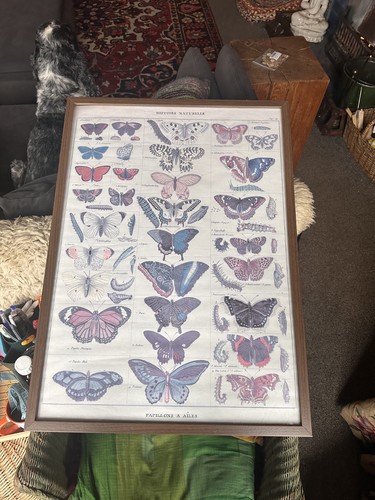 Vintage framed artwork poster - vintage,