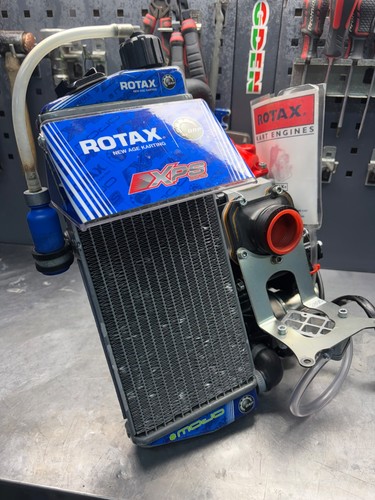 Used rotax senior evo - senior,