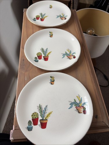 Alfred meakin cactus - alfred,
