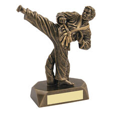 Martial Arts Award Kickboxing