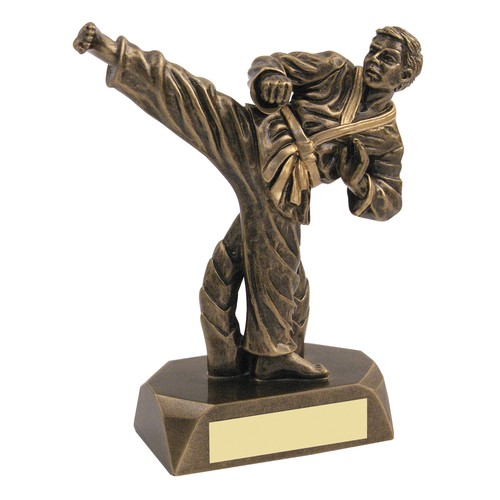 Martial arts award kickboxing - arts,