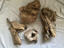 Four Pieces Of Driftwood For