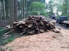 Larch & Douglas Fir first cut