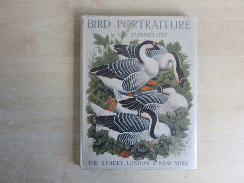 Bird portraiture f - bird, by