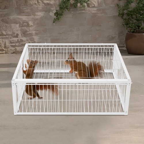 Pigeon trap cage - pigeon,