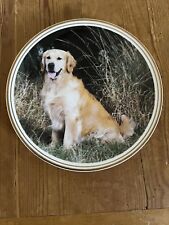 Staffordshire Golden Retriever Plate 